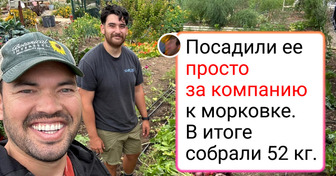 16 снимков, которые пробудят в вас садовода