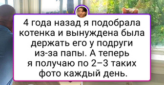 20 доказательств того, что кошки способны влюбить в себя даже отчаянных противников домашних животных