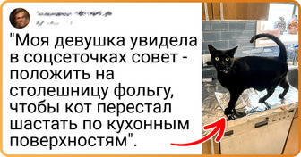 20+ хвостатых сорванцов, которые наводят шороху в доме