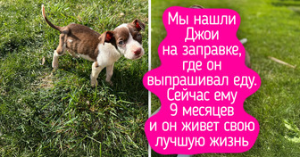 16 фото, на которых запечатлены моменты чистого, неподдельного счастья