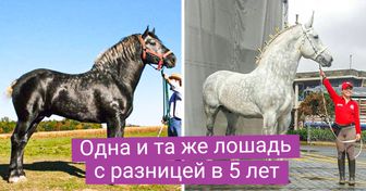 20 редких вещей, которые большинство людей видит раз в жизни, да и то если повезет