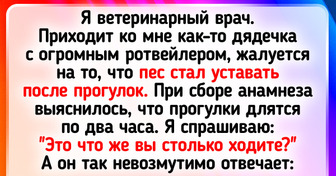 20+ доказательств того, что выгуливать питомца - это не просто ходить по улице