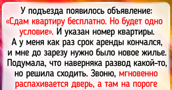 16 объявлений, которые могут поднять настроение на весь день