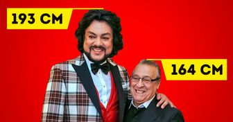 15+ пар знаменитостей, о реальном росте которых мы не догадывались