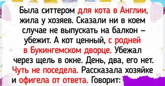 17 историй о питомцах, с которыми заскучать — непозволительная роскошь