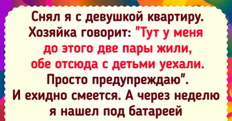 20+ человек, которые хотели снять или сдать квартиру, но не обошлось без чудачеств