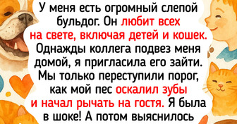 15 животных, которые показали, что разум и доброта — это не только человеческие черты