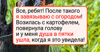 16 причин, почему садоводы хватаются то за камеру, то за голову