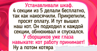 12 читателей ADME рассказали о своих пушистиках, которые оказались не лыком шиты