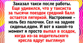 14 необычных историй, которые произошли на дорогах