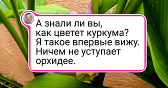 20+ загадочных растений, которые цветут и плодоносят только для самых терпеливых