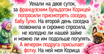 20+ питомцев в осенних нарядах, рядом с которыми даже дождливое утро становится уютным