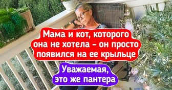 16 питомцев выбрали себе «любимчика» в семье, и теперь этого не скрыть