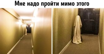 18 фотографий, от которых прошибает холодный пот