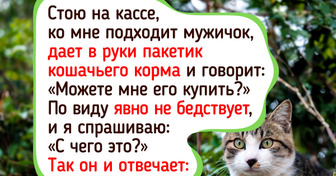 20+ случаев, когда в очередях закипели страсти