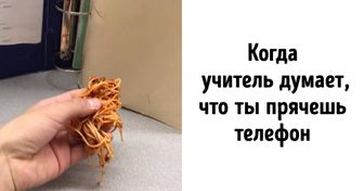 20+ студенческих историй, в которых юмор и безумие идут рука об руку