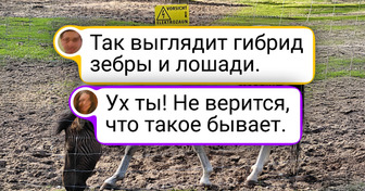 20 фото, где природа выглядит как безумная фантазия, но это реальность