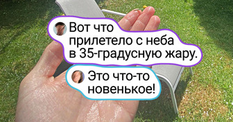 19 фото, которые лучше любых слов покажут изнанку лета