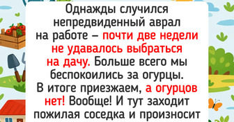 17 историй о даче, после которых руки сами потянутся к рассаде