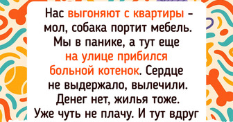 20+ питомцев, которые появились буквально из ниоткуда и навсегда изменили жизнь своих людей