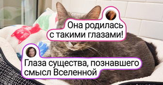 15+ животных, чья мимика настолько богата, что им позавидует любой голливудский актер
