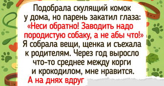 16 душевных историй о том, как люди встретили своего пушистого друга