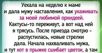 15+ цветоводов-любителей, которые знают, что растения — это не хобби, а любовь всей жизни