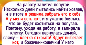 12 пернатых друзей, которые могут учудить такое, что мало не покажется