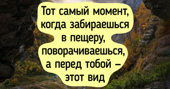 17 снимков дикой природы, глядя на которые вновь влюбляешься в мир