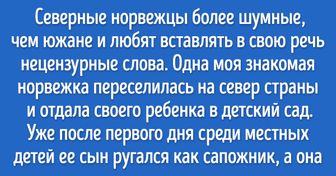 Я живу в Норвегии на острове за полярным кругом и хочу рассказать, почему здесь лучше, чем в южной части страны