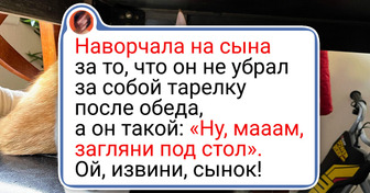 20+ человек, которые однажды попались в мягкие кошачьи лапки и покорились им