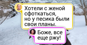14 кадров, где все пошло не по плану, но от этого стало даже прикольнее