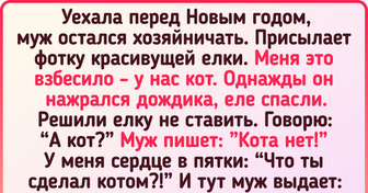 16 мужчин, которые взялись за домашние дела и не пожалели об этом