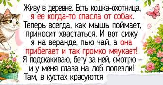 15 трогательных историй о том, как животное доверилось человеку