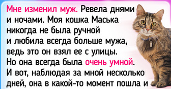 12 животных, которые сделали жизнь хозяев чуть лучше своими поступками