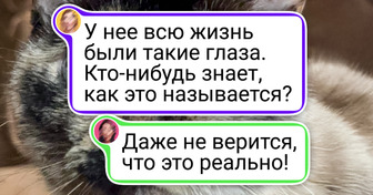 19 кадров, на которых природа взломала саму реальность