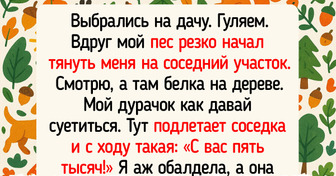 20+ питомцев, которые умудрились превратить прогулку в настоящее приключение