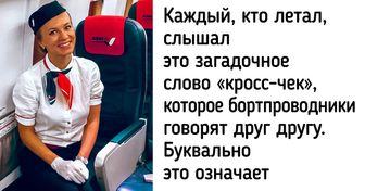 Я работаю стюардессой в российской авиакомпании и готова честно рассказать, как тут все устроено