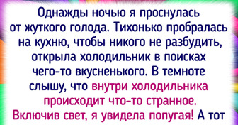 15+ историй о том, как жизнь подкинула неожиданный сюрприз