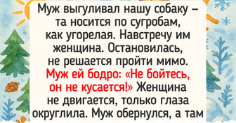 15 случаев, когда прогулка обернулась занятной историей