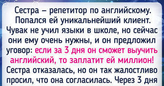 20 историй о репетиторах, работа которых — та еще трагикомедия