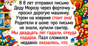 15 историй о новогодних праздниках, от которых на душе становится теплее, чем от имбирного чая