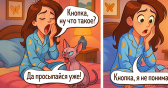 8 своенравных пород кошек, которые точно знают, кто в доме хозяин