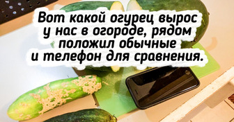 15 фотографий, после которых чувствуешь себя крошечной песчинкой в этом огромном мире