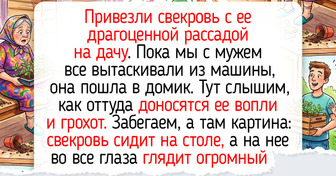 17 добрых историй о встрече с животными, которые согревают лучше солнышка в разгар весны