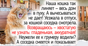 8 деталей осеннего ухода за питомцами, о которых иногда забывают и заботливые хозяева
