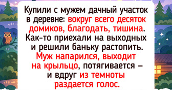 16 историй о дачной жизни, где каждый сезон подкидывает сюрпризы похлеще любого сериала