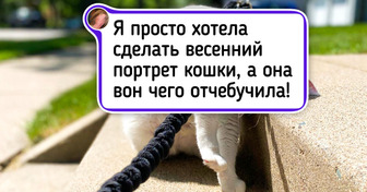 20 пушистых героев, которые искренне радуются приходу весны