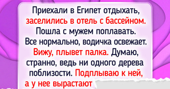 15 туристов, которые побывали в Египте и привезли целый баул впечатлений