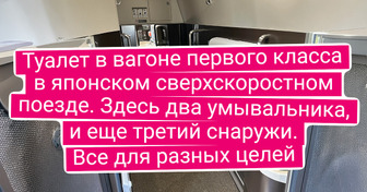 20 крутых и диковинных штук, которые можно встретить в разных странах